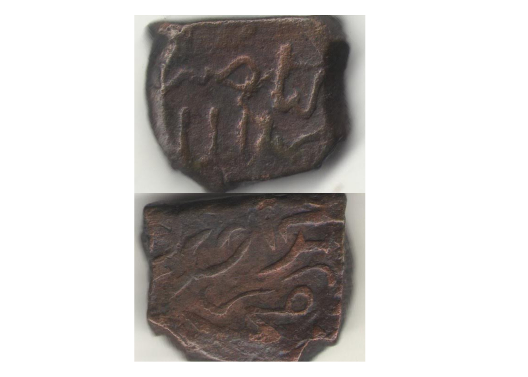 Daşkəsən rayonunda torpaq kurqandan aşkarlanmış sikkəni təqdim edirik