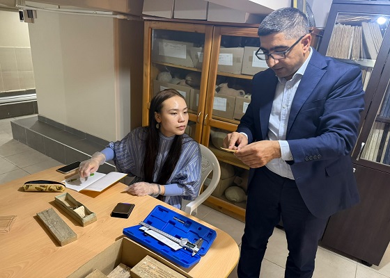 Doctoral Researcher from Free University of Berlin Conducts Research at the Museum